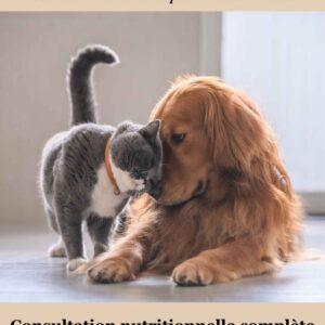 Consultation nutrition chien et chat personnalisée