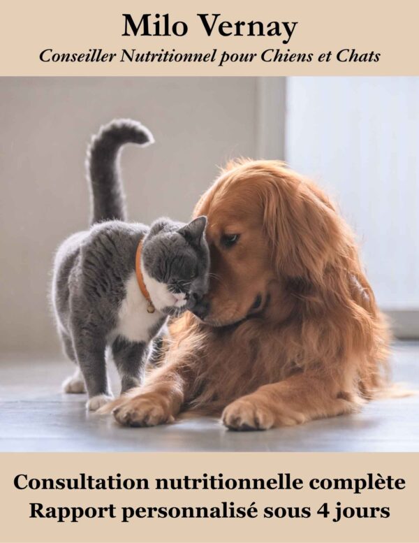 Consultation nutrition chien et chat personnalisée