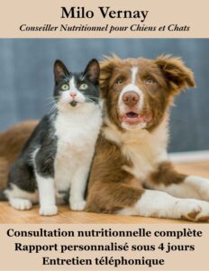 Consultation nutrition chien et chat personnalisée