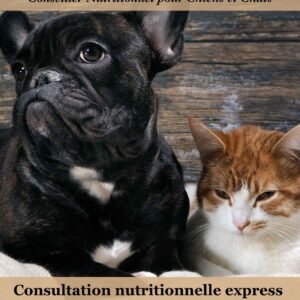 Consultation nutrition chien et chat surpoids