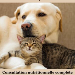 Consultation nutrition chien et chat urgente