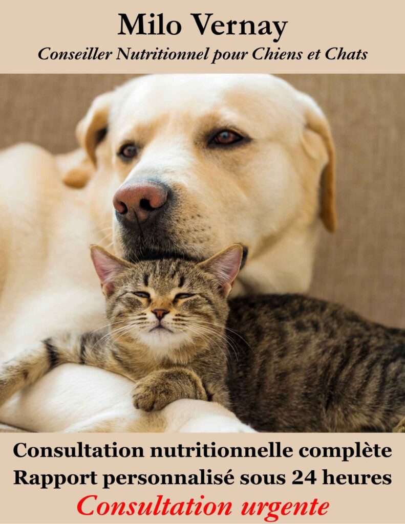 Consultation nutrition chien et chat urgente
