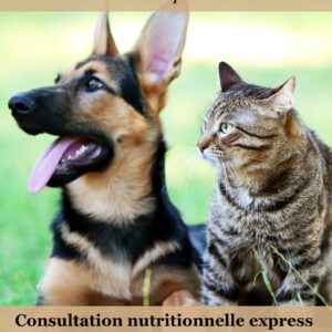 Consultation nutrition chien et chat