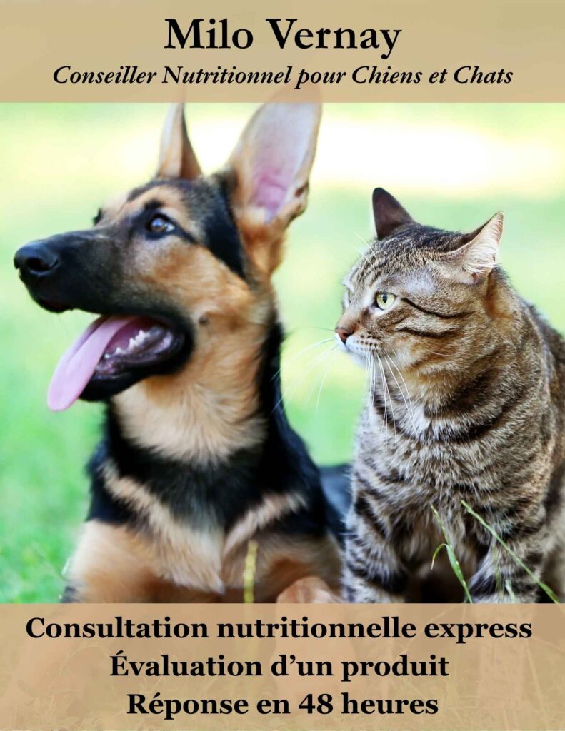 Consultation nutrition chien et chat