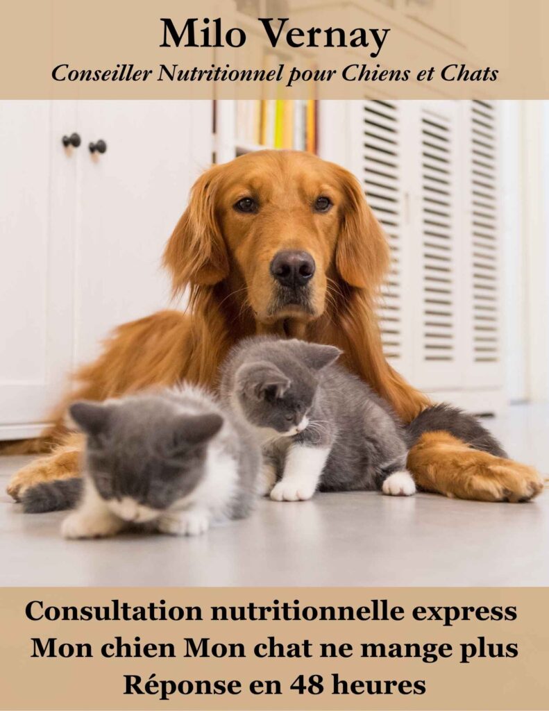 Consultation nutrition chien et chat personnalisée