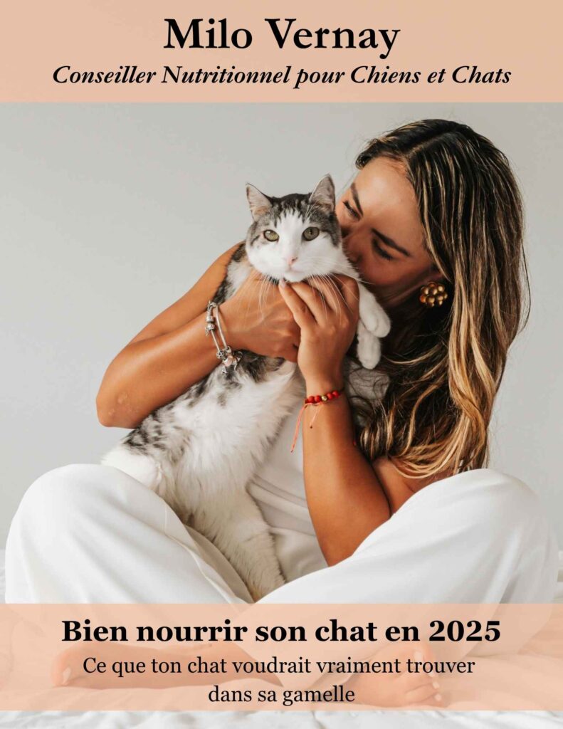 ebook gratuit chat - bien nourrir son chat en 2025