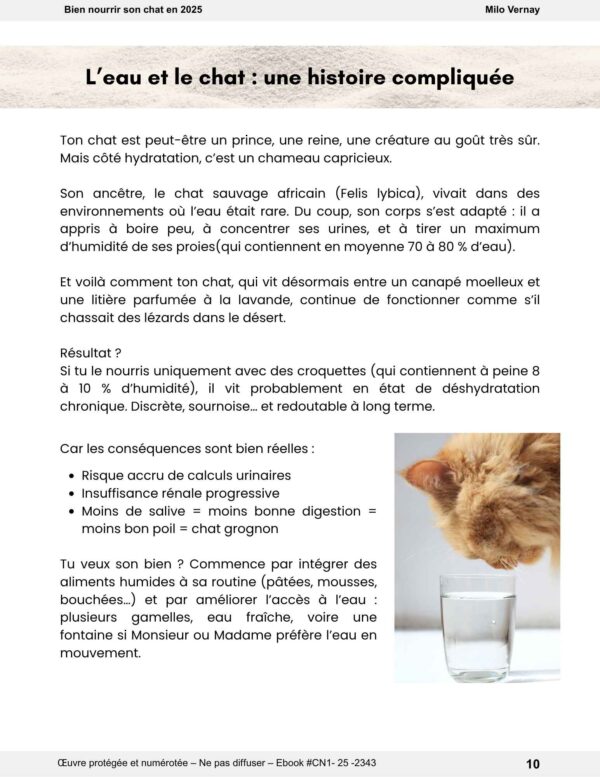 Ebook gratuit - Bien nourrir son chat en 2025 – Image 3