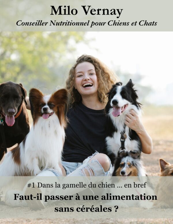 Faut-il passer à une alimentation sans céréales ?