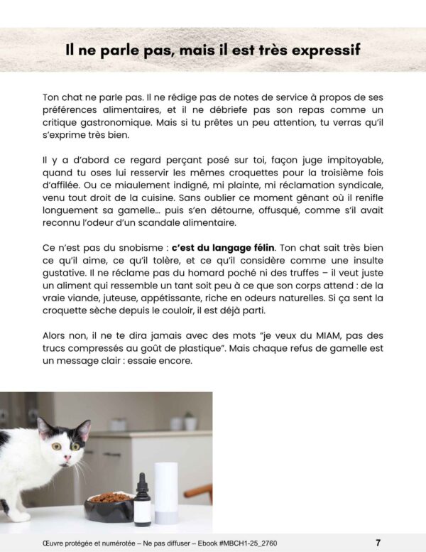 Croquettes ou pâtée : ce que préfère vraiment ton chat – Image 3