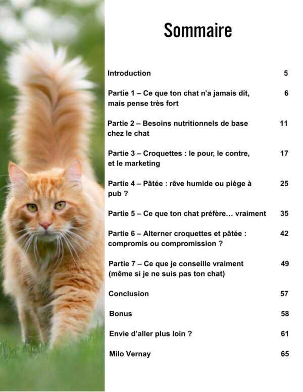 Croquettes ou pâtée : ce que préfère vraiment ton chat – Image 2