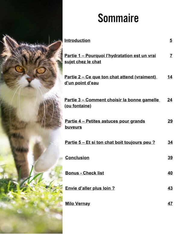 Ton chat boit trop peu ? C'est peut-être la faute de la gamelle – Image 2