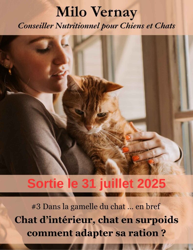 mini ebook chat - thématique spécifique