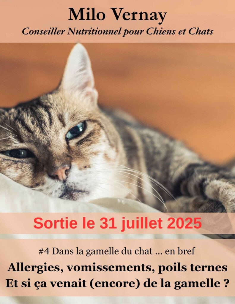 mini ebook chat - thématique spécifique