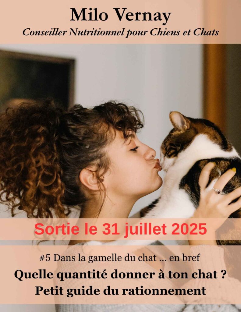 mini ebook chat - thématique spécifique