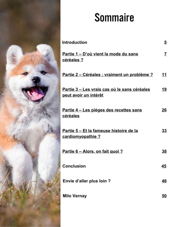 Faut-il passer à une alimentation sans céréales ? – Image 2