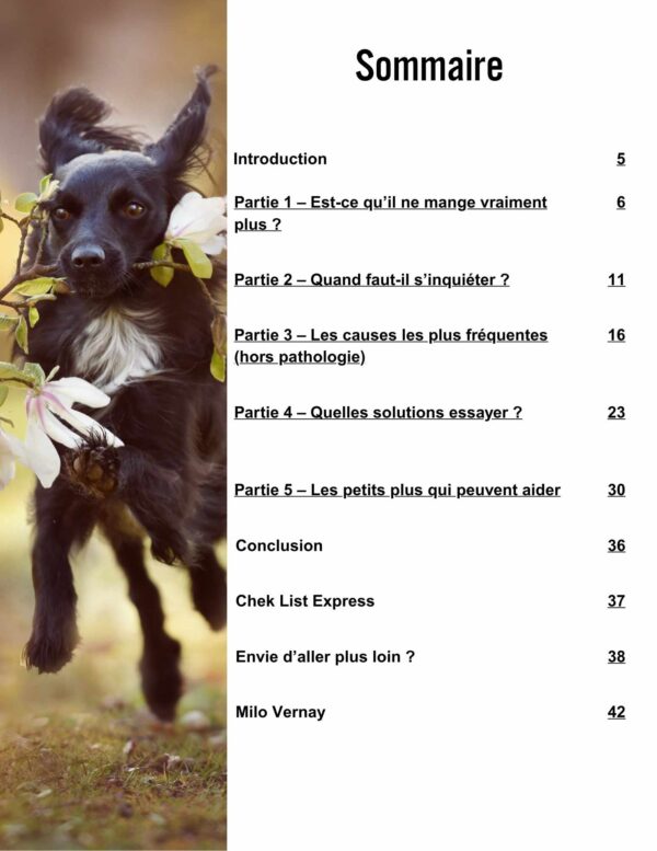 Ton chien fait la grève de la gamelle ? Pas de panique – Image 2