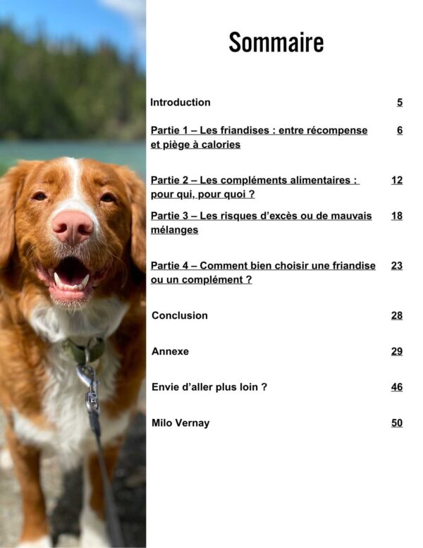 Friandises et compléments : utiles ou superflus ? – Image 2