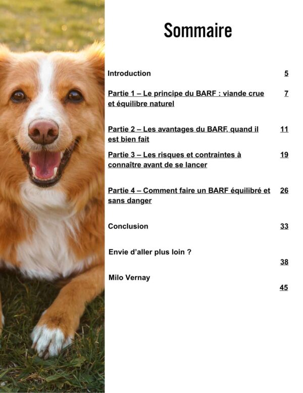 Le régime BARF - Mythe ancestral ou casse-tête nutritionnel ? – Image 2