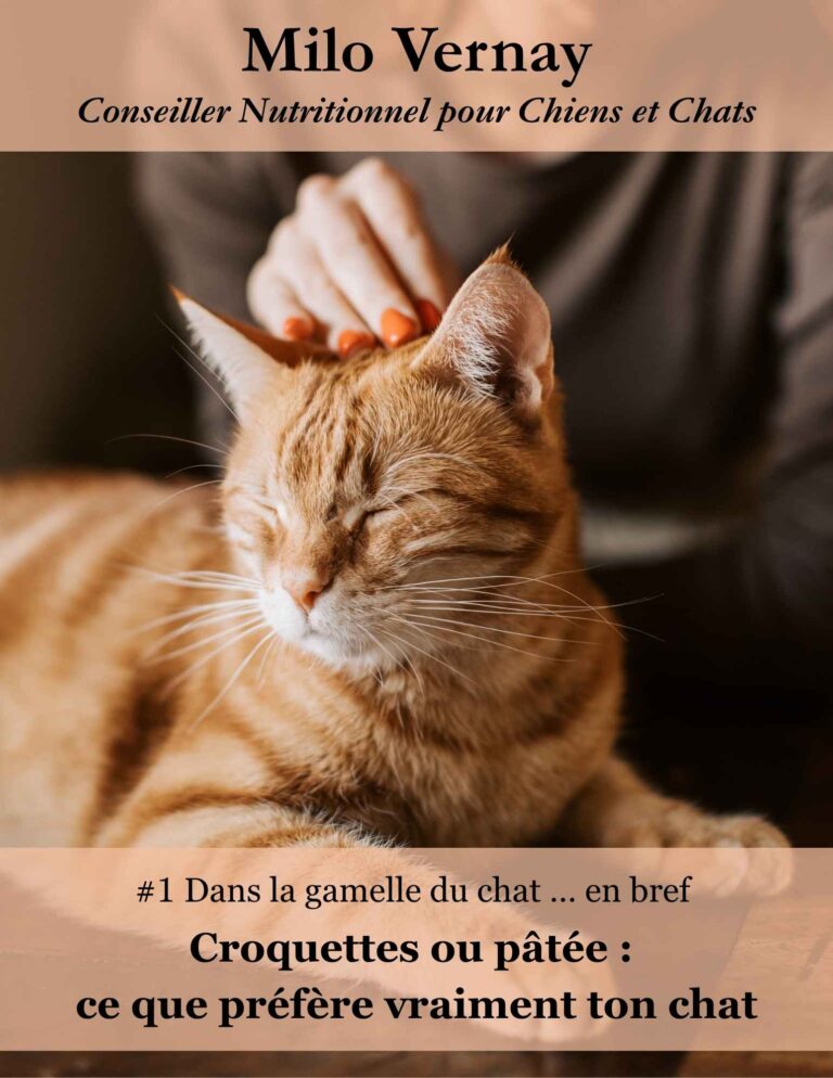 Ebook nutrition chien et chat – conseils pour bien nourrir son animal
