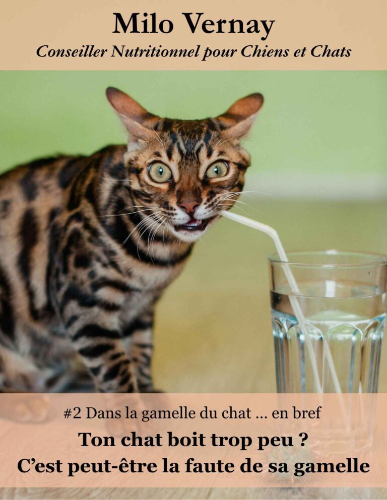 mini ebook chat - mon chat boit trop peu