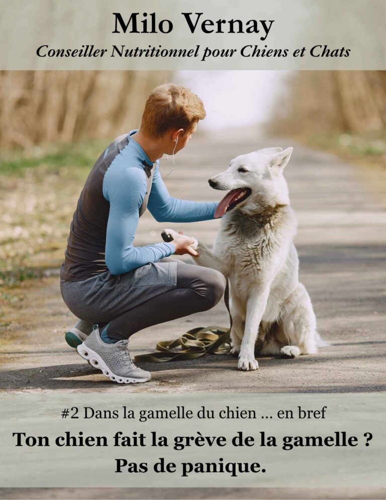 mini ebook chien - mon chien ne mange plus